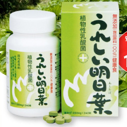 食物繊維・ミネラル・ビタミンに植物性乳酸菌も!話題のサプリ