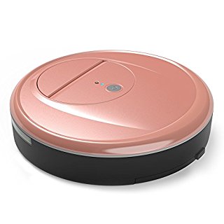 EVERTOP ロボット掃除機 6.5CM薄型 落下防止と衝撃防止 90分間長時間稼動 ミニ ロボットクリーナー FD-RSW