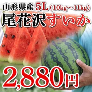 【秀品】山形県産 尾花沢すいか 1玉 5Lサイズ (約10〜11kg)